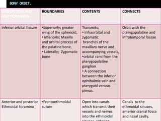 ANATOMY_OF_THE_EYE_AND_ORBITS.ppt