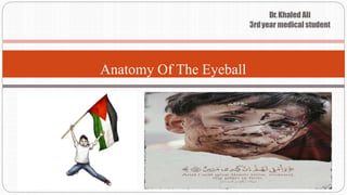 Dr.Khaled Ali
3rdyear medical student
Anatomy Of The Eyeball
 