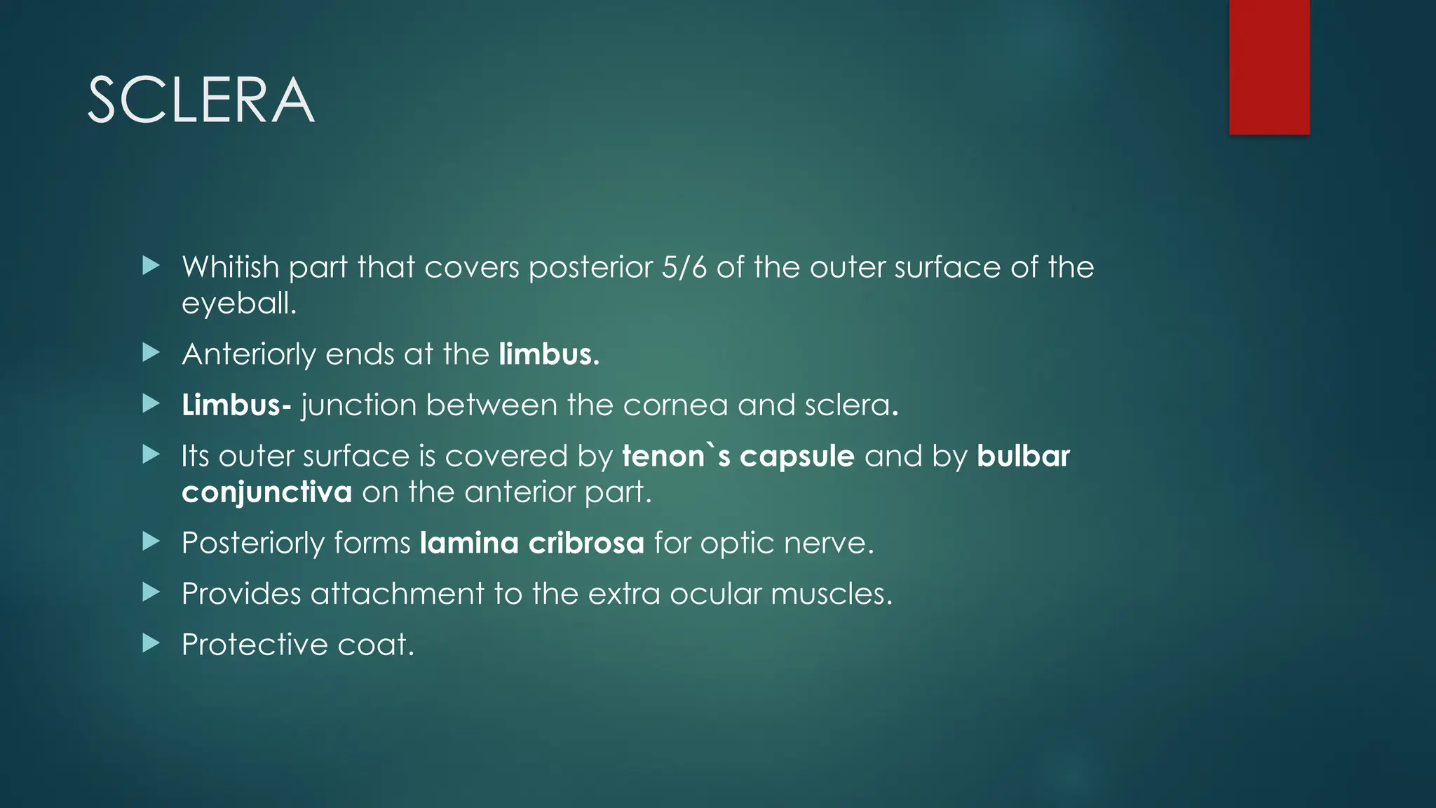 SCLERA
 Whitish part that covers posterior 5/6 of the outer surface of the
eyeball.
 Anteriorly ends at the limbus.
 Limbus- junction between the cornea and sclera.
 Its outer surface is covered by tenon`s capsule and by bulbar
conjunctiva on the anterior part.
 Posteriorly forms lamina cribrosa for optic nerve.
 Provides attachment to the extra ocular muscles.
 Protective coat.
 