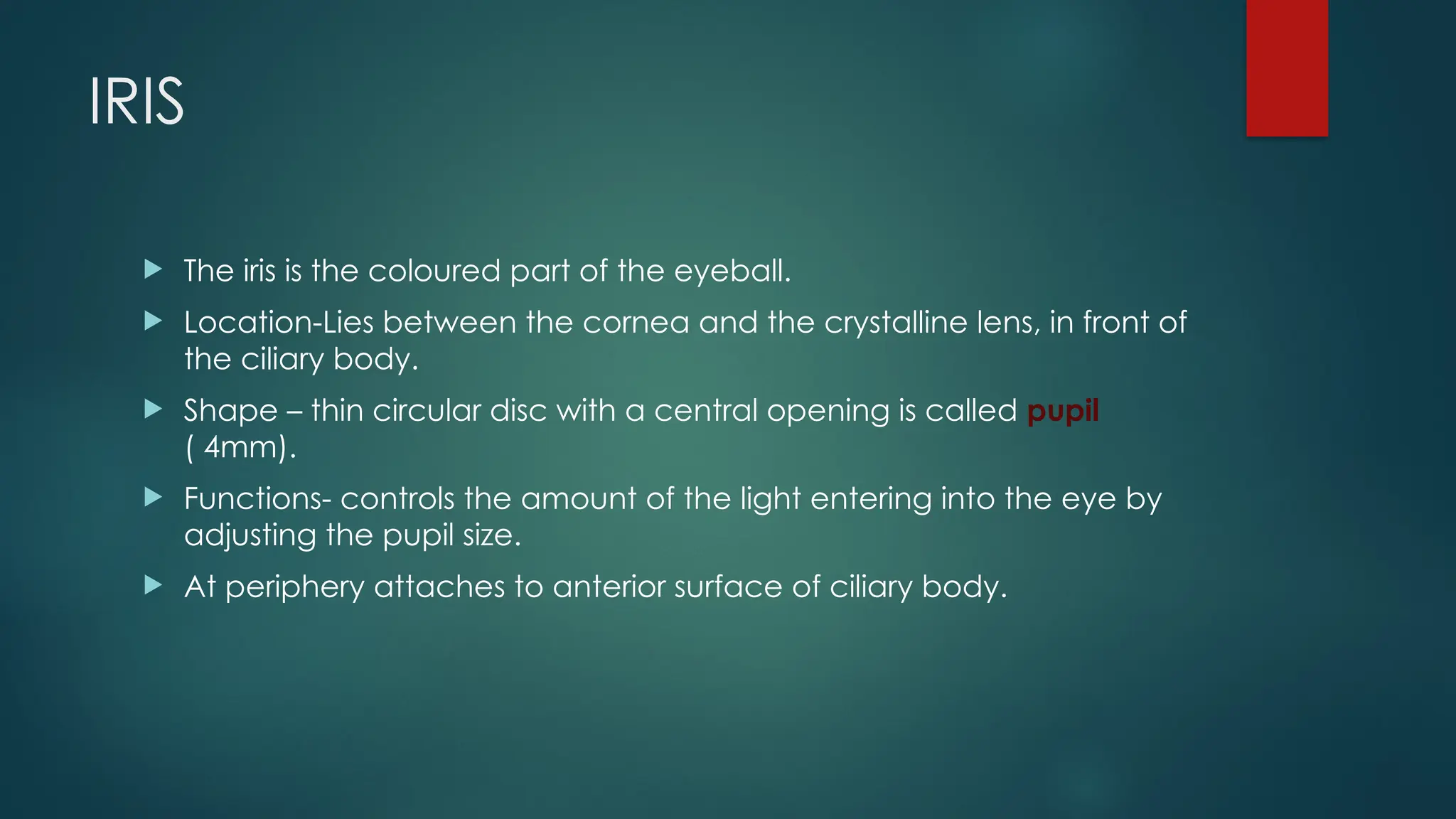 IRIS
 The iris is the coloured part of the eyeball.
 Location-Lies between the cornea and the crystalline lens, in front of
the ciliary body.
 Shape – thin circular disc with a central opening is called pupil
( 4mm).
 Functions- controls the amount of the light entering into the eye by
adjusting the pupil size.
 At periphery attaches to anterior surface of ciliary body.
 
