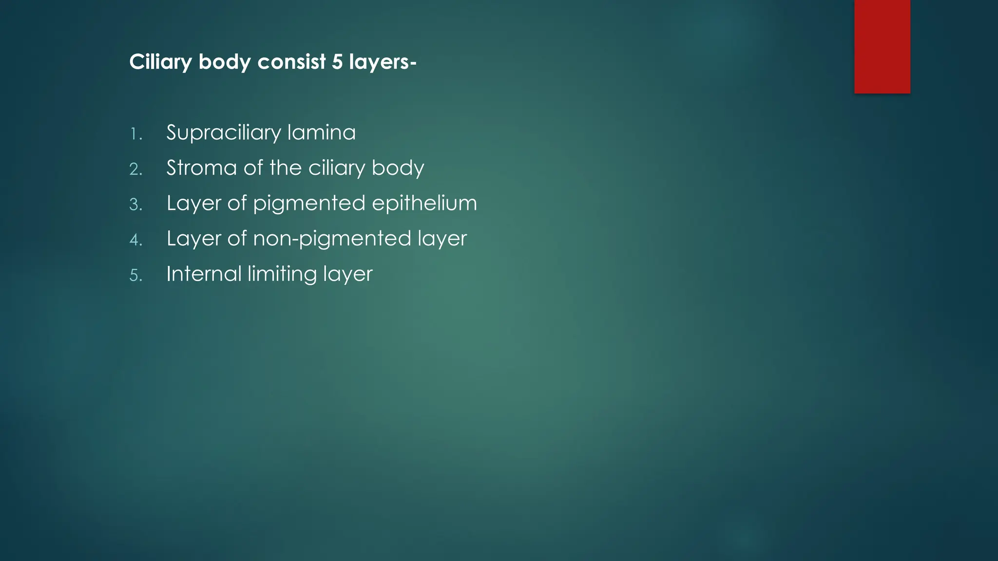 Ciliary body consist 5 layers-
1. Supraciliary lamina
2. Stroma of the ciliary body
3. Layer of pigmented epithelium
4. Layer of non-pigmented layer
5. Internal limiting layer
 