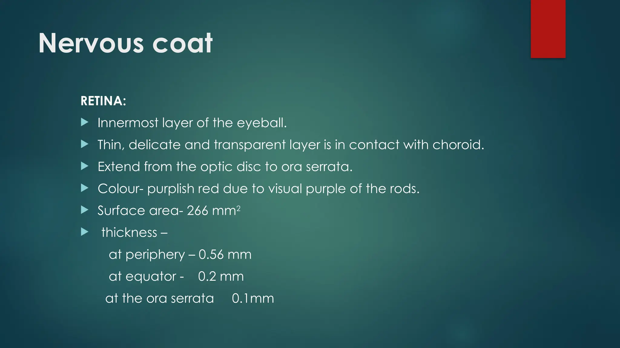 Nervous coat
RETINA:
 Innermost layer of the eyeball.
 Thin, delicate and transparent layer is in contact with choroid.
 Extend from the optic disc to ora serrata.
 Colour- purplish red due to visual purple of the rods.
 Surface area- 266 mm2
 thickness –
at periphery – 0.56 mm
at equator - 0.2 mm
at the ora serrata 0.1mm
 