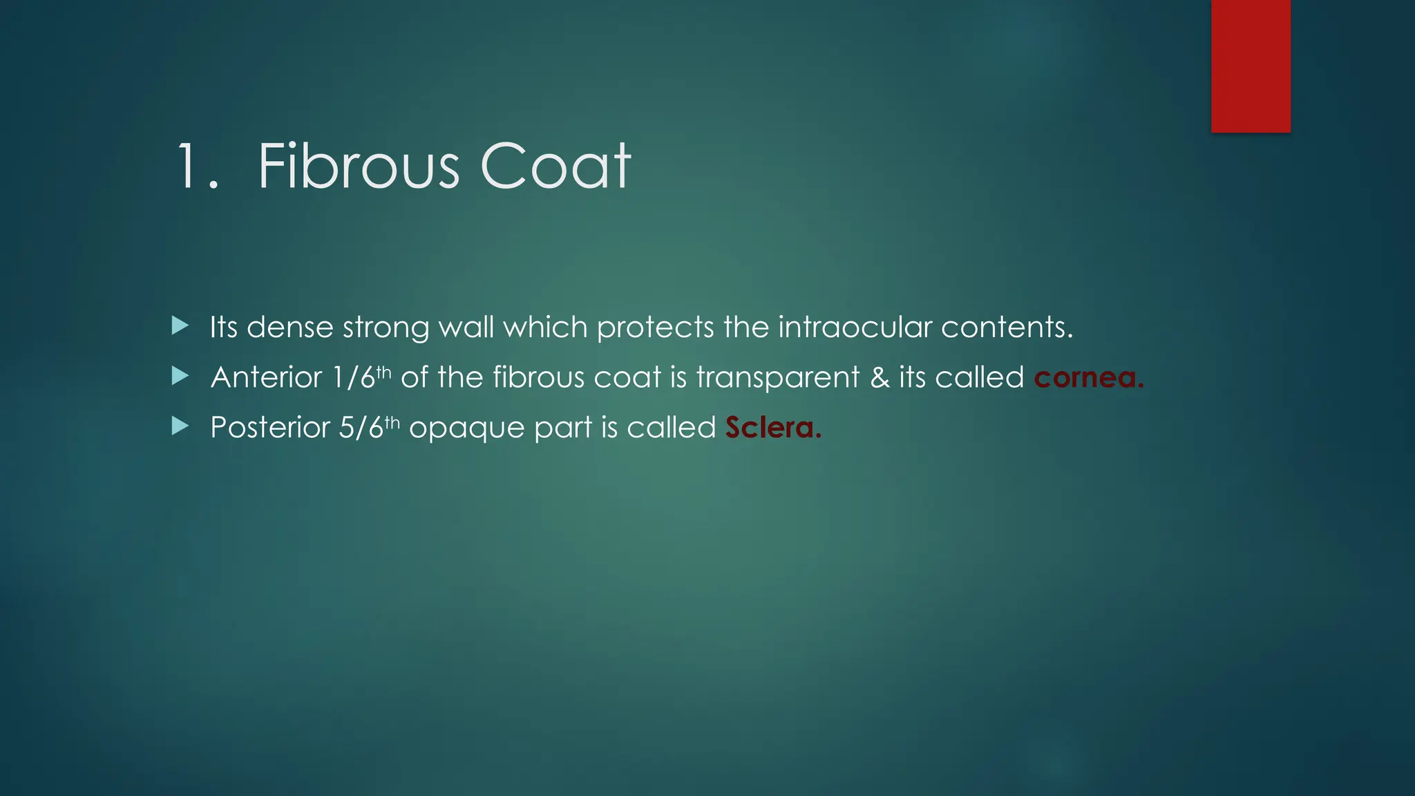 1. Fibrous Coat
 Its dense strong wall which protects the intraocular contents.
 Anterior 1/6th
of the fibrous coat is transparent & its called cornea.
 Posterior 5/6th
opaque part is called Sclera.
 