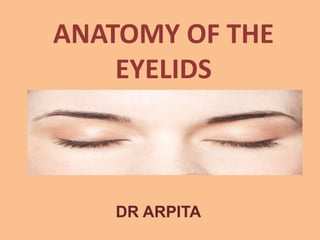 ANATOMY OF THE
EYELIDS
DR ARPITA
 