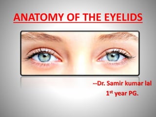 ANATOMY OF THE EYELIDS
--Dr. Samir kumar lal
1st year PG.
 