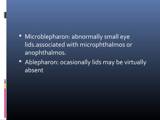 Anatomy of the eyelids | PPT