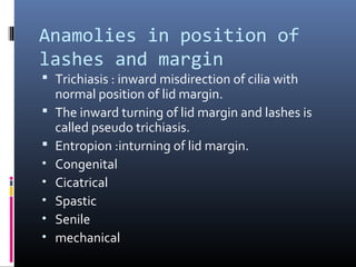 Anatomy of the eyelids