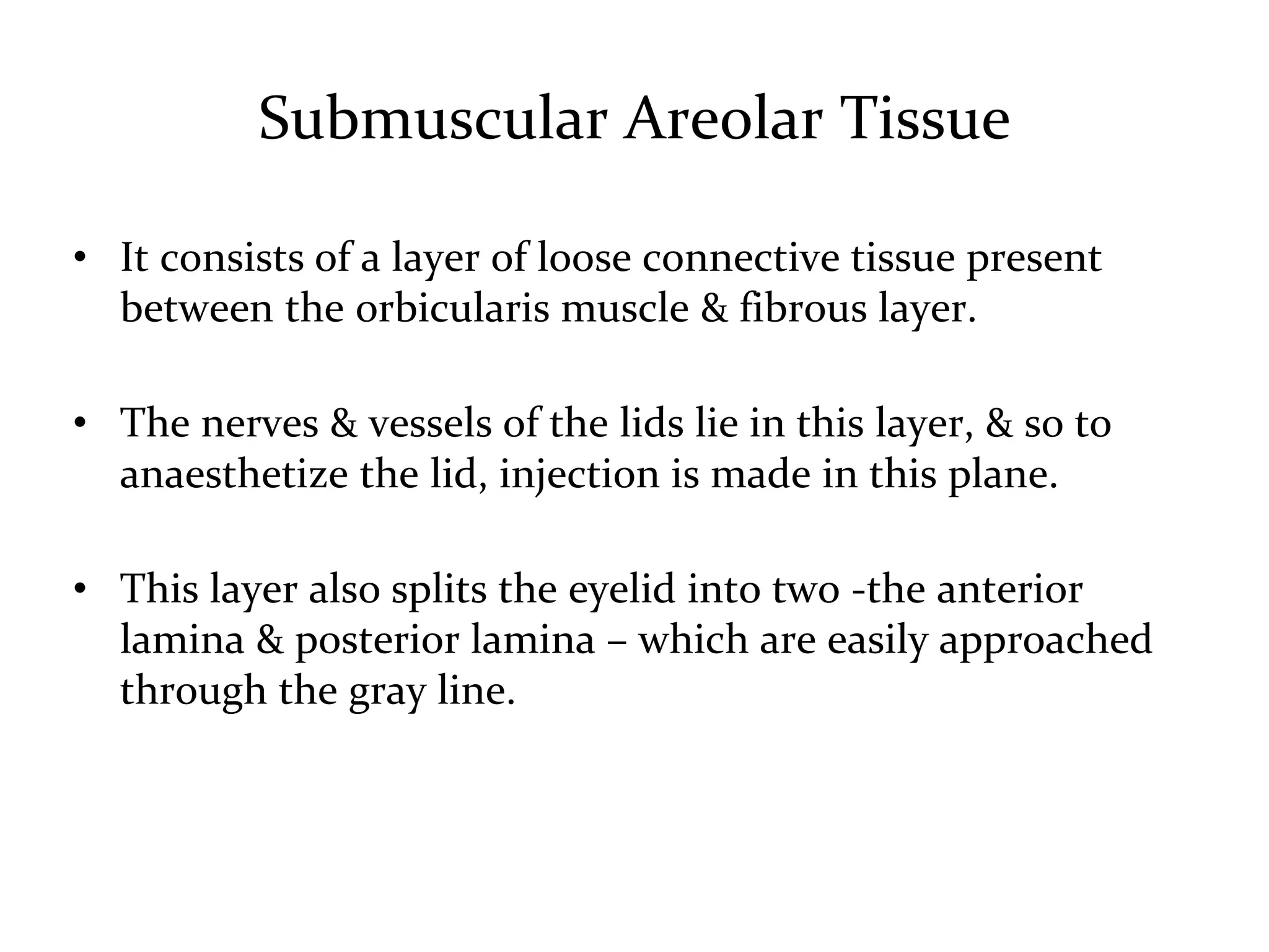 Anatomy of the eyelids | PPTX