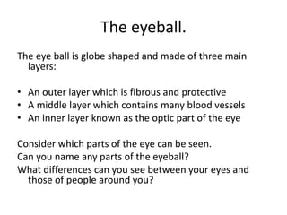 Anatomy of the eye presentation.ppt