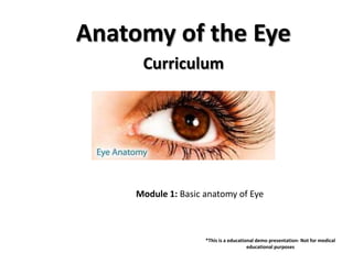 Anatomy of the Eye
      Curriculum




     Module 1: Basic anatomy of Eye



                     *This is a educational demo presentation- Not for medical
                                        educational purposes
 