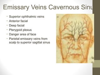 Emissary Veins Cavernous Sinus
• Superior ophthalmic veins
• Anterior facial
• Deep facial
• Pterygoid plexus
• Danger area of face
• Parietal emissary veins from
scalp to superior sagittal sinus
 
