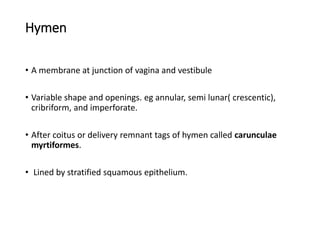 Anatomy of the Female and Male Reproductive System handout.pdf