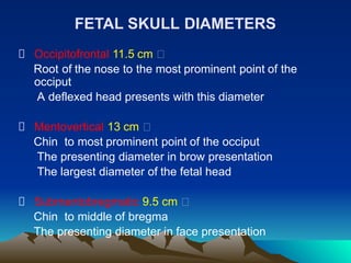 Deflexed ANATOMY OF THE FEMALE BONY PELVIS and FETAL (2)-2.pdf