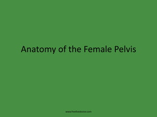 Anatomy of the Female Pelvis www.freelivedoctor.com 