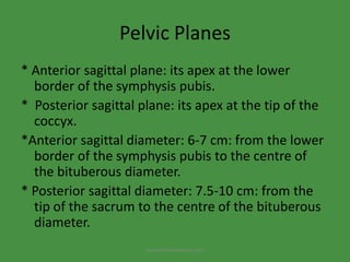 Pelvic Planes<br />* Anterior sagittal plane: its apex at the lower border of the symphysis pubis.<br />*  Posterior sagit...