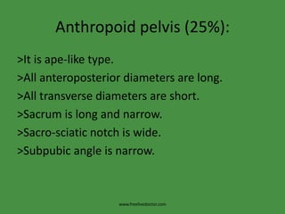 Anthropoid pelvis (25%):<br />>It is ape-like type.<br />>All anteroposterior diameters are long.<br />>All transverse dia...