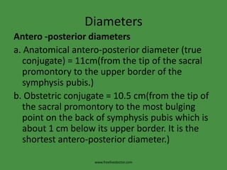 Diameters<br />Antero -posterior diameters<br />a. Anatomical antero-posterior diameter (true conjugate) = 11cm(from the t...