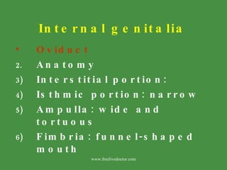 Internal genitalia <ul><li>Oviduct </li></ul><ul><li>Anatomy </li></ul><ul><li>Interstitial portion: </li></ul><ul><li>Ist...
