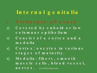 Internal genitalia <ul><li>Structure of ovary </li></ul><ul><li>Covered by cuboid or low columnar epithelium </li></ul><ul...