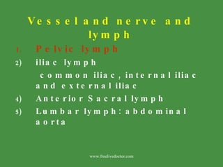 Vessel and nerve and lymph <ul><li>Pelvic lymph </li></ul><ul><li>iliac lymph </li></ul><ul><li>common iliac, internal ili...