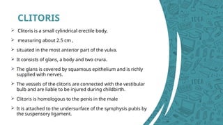 Comprehensive Anatomy of the Female Reproductive Tract: External and ...