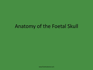 Anatomy of the Foetal Skull www.freelivedoctor.com 