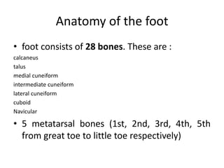 Anatomy of the foot
• foot consists of 28 bones. These are :
calcaneus
talus
medial cuneiform
intermediate cuneiform
lateral cuneiform
cuboid
Navicular
• 5 metatarsal bones (1st, 2nd, 3rd, 4th, 5th
from great toe to little toe respectively)
 