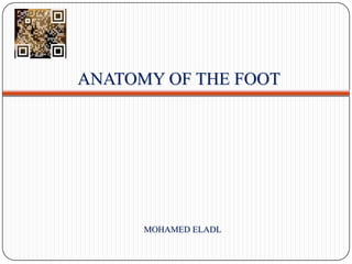 ANATOMY OF THE FOOT
MOHAMED ELADL
 