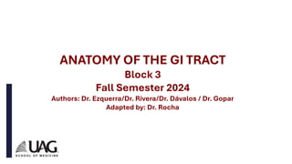 Anatomy of the GI Tract Fall 20233333.pdf