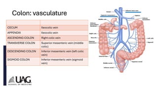Anatomy of the GI Tract Fall 20233333.pdf