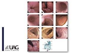 Anatomy of the GI Tract Fall 20233333.pdf