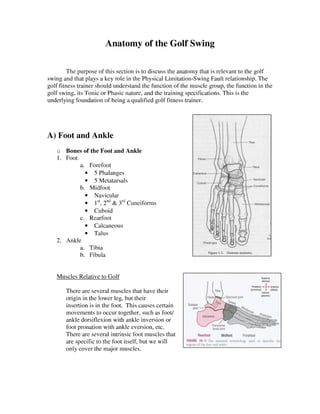 Anatomy of the Golf Swing for Trainers 