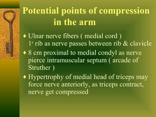 Anatomy of the hand | PPT