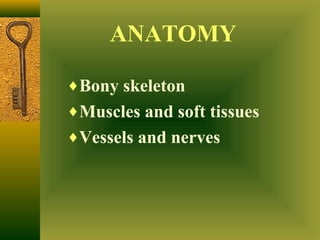 Anatomy of the hand | PPT