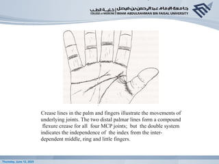 Anatomy lecture - Anatomy of the hand 2019 given by co-ordinator.pptx