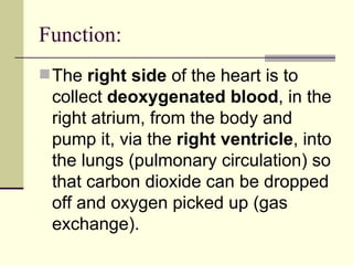 Anatomy Of The Heart | PPT