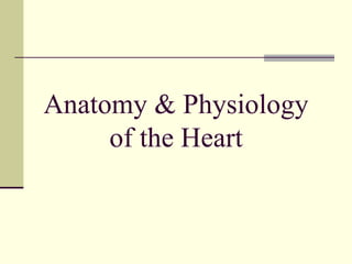 Anatomy & Physiology of the Heart 