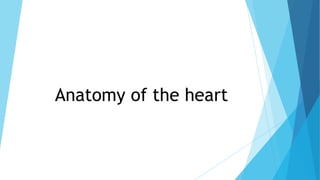 Anatomy of the heart
 