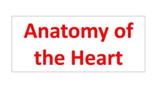 Anatomy of
the Heart
 