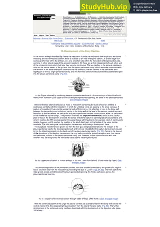 Strunk Stein Anatomy Of The Human Body Henry Gray CONTENTS | PDF