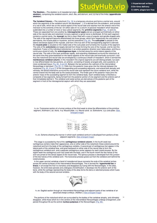 Anatomy Of The Human Body Henry Gray CONTENTS | PDF