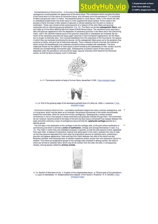 Anatomy Of The Human Body Henry Gray CONTENTS | PDF | Free Download