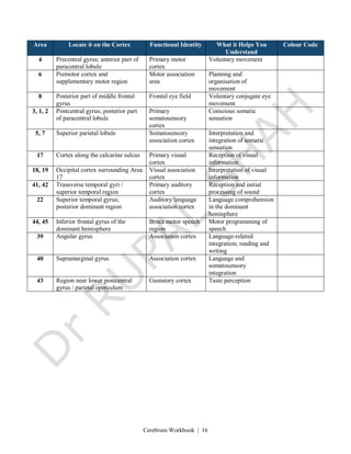 Cerebrum Workbook | 16
Area Locate it on the Cortex Functional Identity What it Helps You
Understand
Colour Code
4 Precentral gyrus; anterior part of
paracentral lobule
Primary motor
cortex
Voluntary movement
6 Premotor cortex and
supplementary motor region
Motor association
area
Planning and
organisation of
movement
8 Posterior part of middle frontal
gyrus
Frontal eye field Voluntary conjugate eye
movement
3, 1, 2 Postcentral gyrus; posterior part
of paracentral lobule
Primary
somatosensory
cortex
Conscious somatic
sensation
5, 7 Superior parietal lobule Somatosensory
association cortex
Interpretation and
integration of somatic
sensation
17 Cortex along the calcarine sulcus Primary visual
cortex
Reception of visual
information
18, 19 Occipital cortex surrounding Area
17
Visual association
cortex
Interpretation of visual
information
41, 42 Transverse temporal gyri /
superior temporal region
Primary auditory
cortex
Reception and initial
processing of sound
22 Superior temporal gyrus;
posterior dominant region
Auditory/language
association cortex
Language comprehension
in the dominant
hemisphere
44, 45 Inferior frontal gyrus of the
dominant hemisphere
Broca motor speech
region
Motor programming of
speech
39 Angular gyrus Association cortex Language-related
integration; reading and
writing
40 Supramarginal gyrus Association cortex Language and
somatosensory
integration
43 Region near lower postcentral
gyrus / parietal operculum
Gustatory cortex Taste perception
 