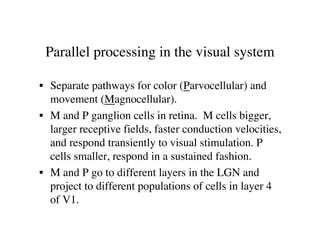 Anatomy of the Human Eye ( PDFDrive ).pdf