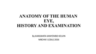 Anatomy, History, and Examination of the Human Eye | PPTX