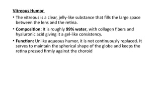 Viterous Humor Function Anatomy, History, and Examination of the Human Eye | PPTX