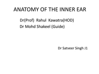 ANATOMY OF THE INNER EAR 
Dr(Prof) Rahul Kawatra(HOD) 
Dr Mohd Shakeel (Guide) 
Dr Satveer Singh J1 
 