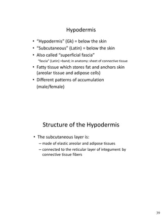 Anatomy of the integumentary .pdf0012346 | PDF