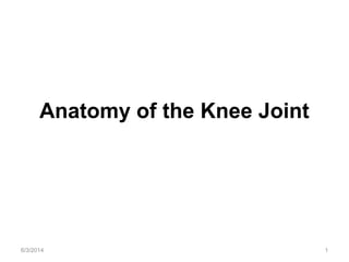 6/3/2014 1
Anatomy of the Knee Joint
 