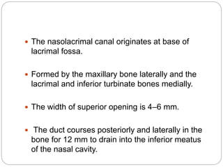  The nasolacrimal canal originates at base of
lacrimal fossa.
 Formed by the maxillary bone laterally and the
lacrimal and inferior turbinate bones medially.
 The width of superior opening is 4–6 mm.
 The duct courses posteriorly and laterally in the
bone for 12 mm to drain into the inferior meatus
of the nasal cavity.
 